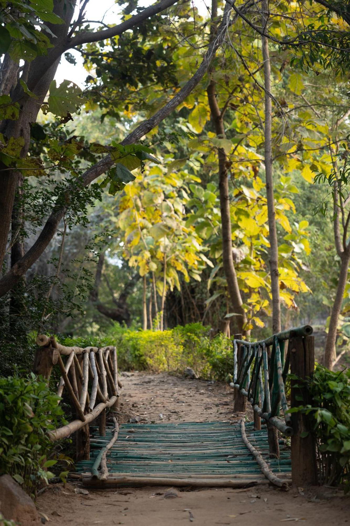 Tiger Trails Resort Tala  Luaran gambar