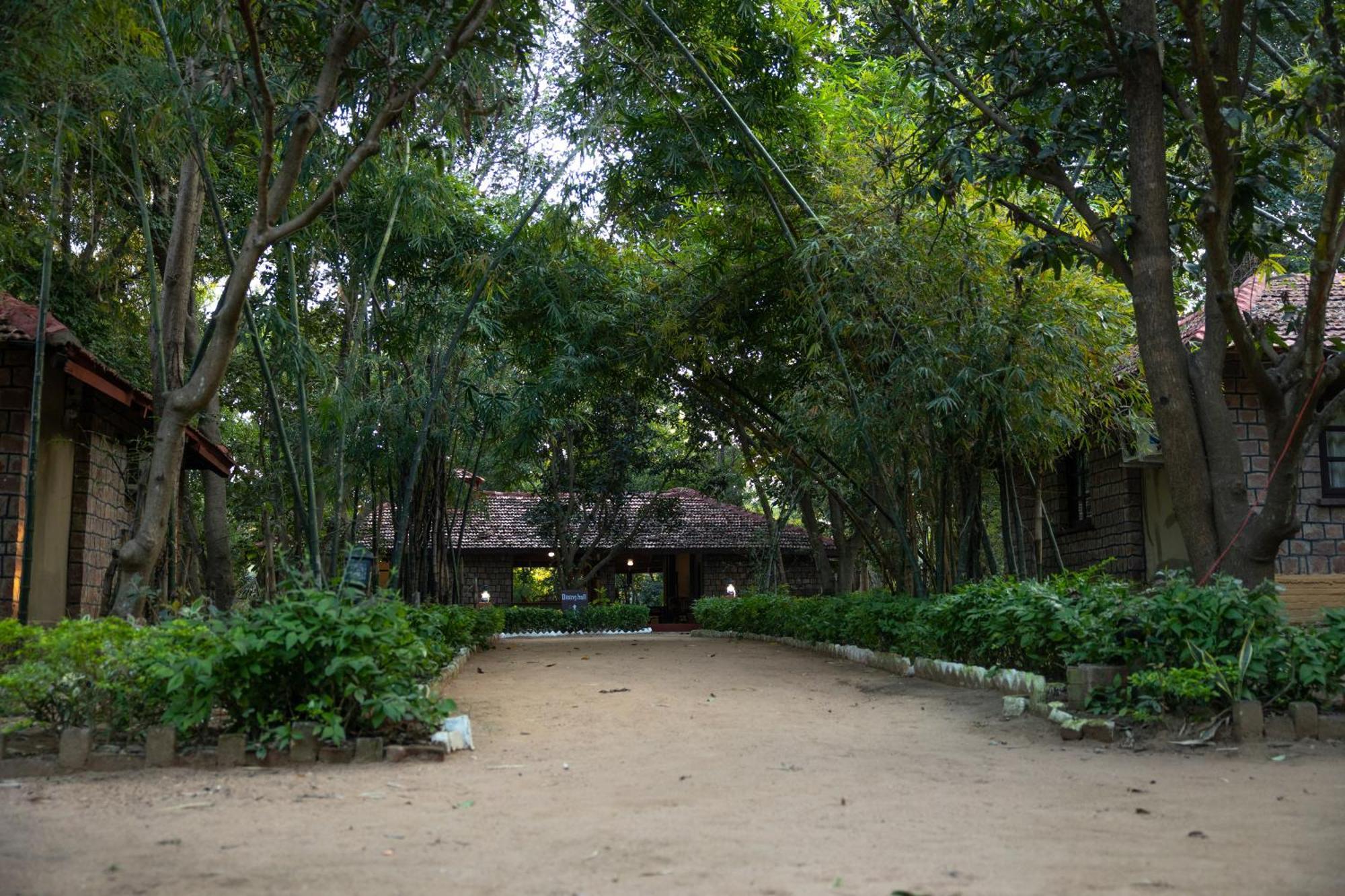 Tiger Trails Resort Tala  Luaran gambar