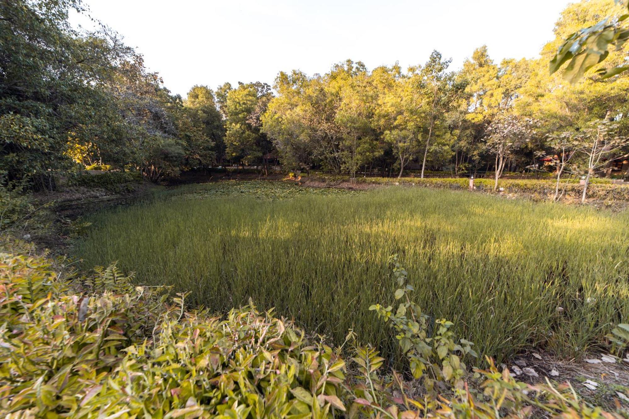Tiger Trails Resort Tala  Luaran gambar